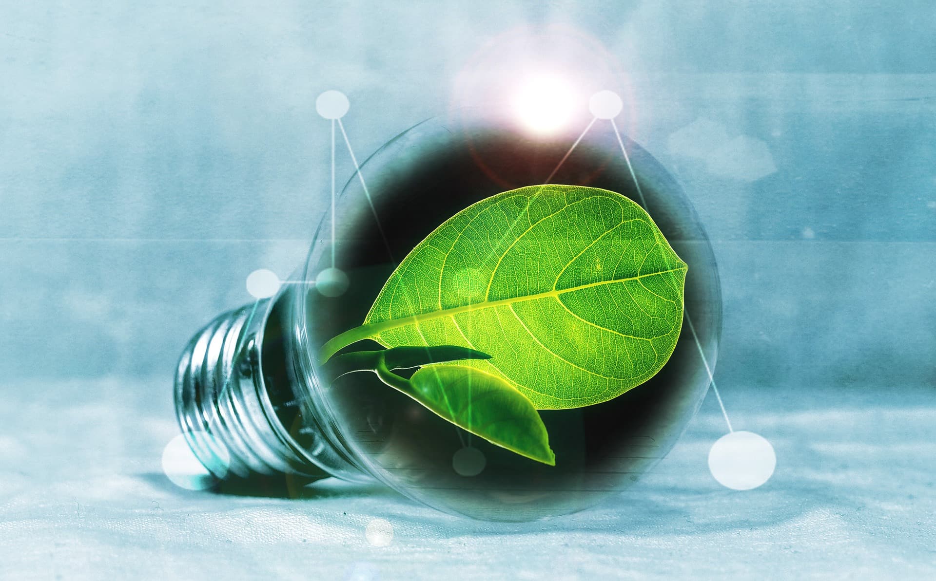 Titelbild für Energiesparen & Ernährung
